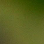 Crédito: Grosby Group