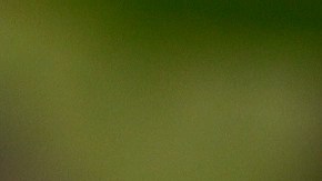 Crédito: Grosby Group