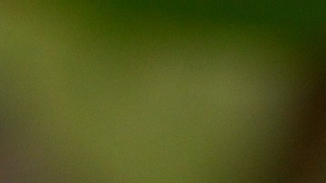 Crédito: Grosby Group