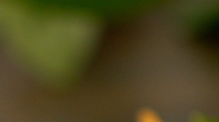 Crédito: Grosby Group