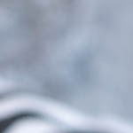 bizcocho de banana con chispas de chocolate