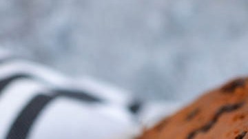 bizcocho de banana con chispas de chocolate