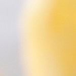 burritos al estilo Chihuahua