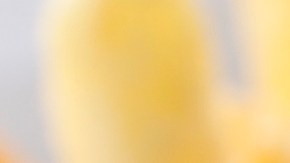 burritos al estilo Chihuahua