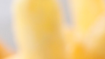 burritos al estilo Chihuahua