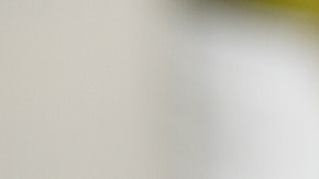 Pavo relleno con mariscos