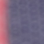 Muslos de pollo a la parrilla con salsa barbacoa