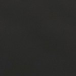 Pavo relleno con manzanas y salvia