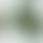 Pavo relleno estilo cajún