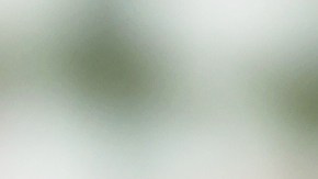 Pavo relleno estilo cajún