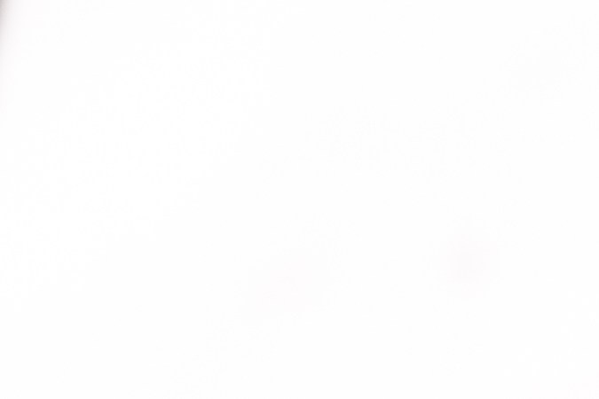 Pavo relleno de ciruelas y orejones