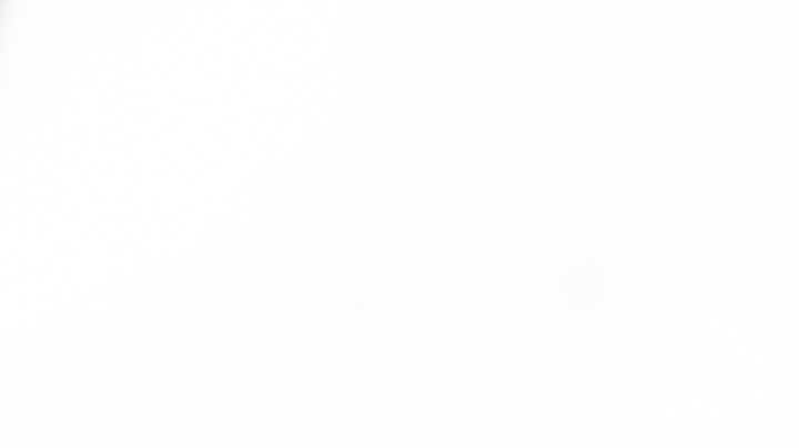 Pavo relleno de ciruelas y orejones