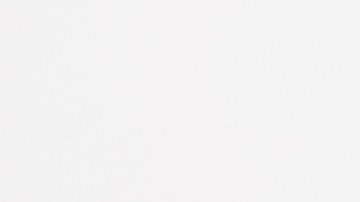 Muslos de pollo en salsa de soja y ajo