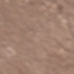 pimientos rellenos de pollo