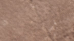 pimientos rellenos de pollo