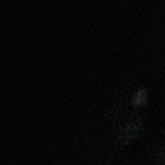 Pavo relleno con pasas y almendras