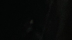 Pavo relleno con pasas y almendras