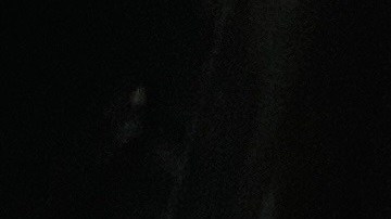 Pavo relleno con pasas y almendras