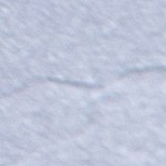 Muslos de pollo con salsa de limón y albahaca