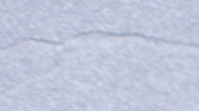 Muslos de pollo con salsa de limón y albahaca