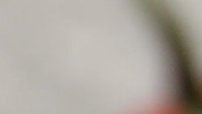 pimientos rellenos de verduras