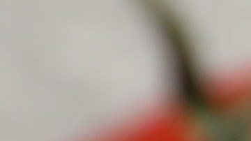 pimientos rellenos de verduras