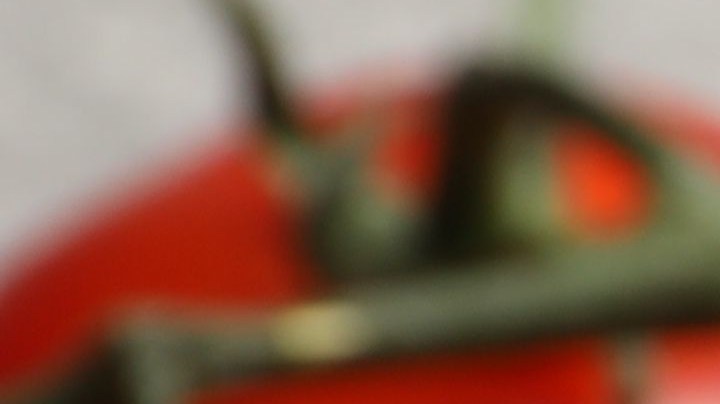 pimientos rellenos de verduras