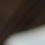 pavo relleno con arroz y piñones