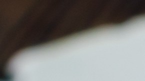 pavo relleno con arroz y piñones