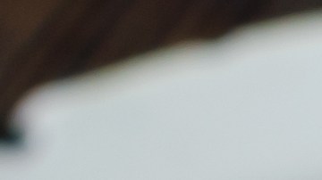 pavo relleno con arroz y piñones