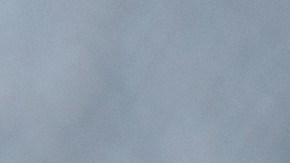 Pavo relleno con champiñones