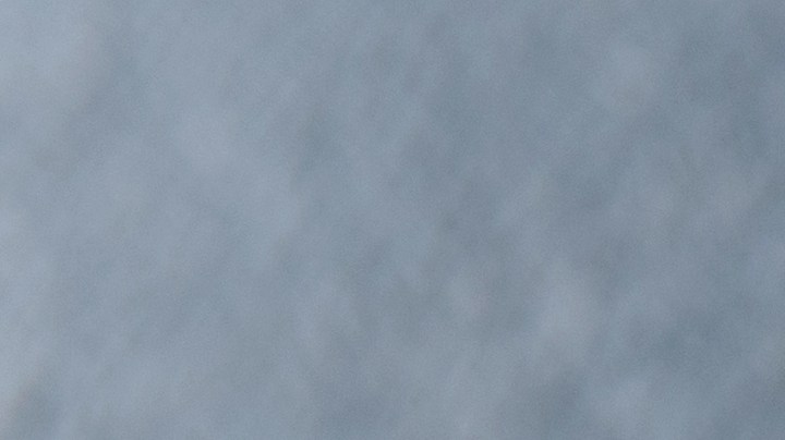 Pavo relleno con champiñones