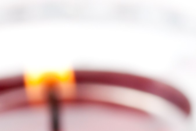 Pavo relleno con pistachos