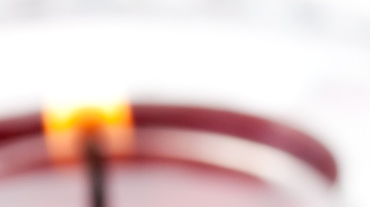 Pavo relleno con pistachos