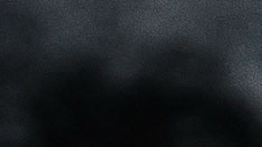 muslos de pollo en salsa de limón y jengibre