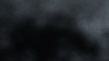 muslos de pollo en salsa de limón y jengibre