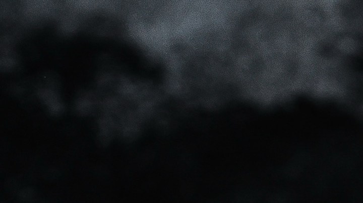 muslos de pollo en salsa de limón y jengibre