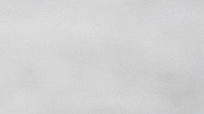 muslos de pollo a la parrilla con limón y hierbas