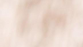 Muslos de pollo al estilo mediterráneo con aceitunas y alcaparras