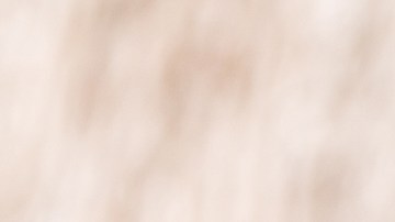 Muslos de pollo al estilo mediterráneo con aceitunas y alcaparras