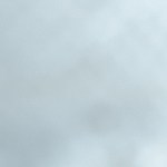 Muslos de pollo asados con adobo de limón y ajo