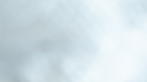 Muslos de pollo asados con adobo de limón y ajo