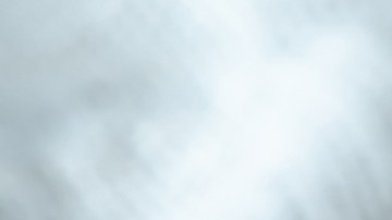 Muslos de pollo asados con adobo de limón y ajo