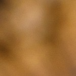 Muslos de pollo asados con ajo y papas