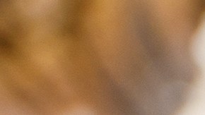 Muslos de pollo asados con ajo y papas