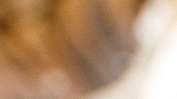 Muslos de pollo asados con ajo y papas