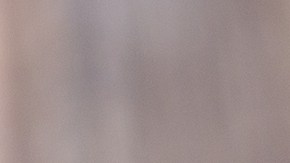 Muslos de pollo con costra de almendras