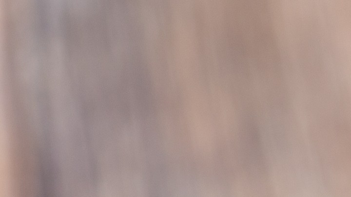 Muslos de pollo con costra de almendras