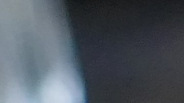 Muslos de pollo con glaseado de maple