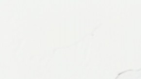 Muslos de pollo con miel y chipotle